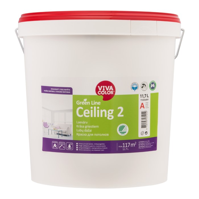 Ceiling 2